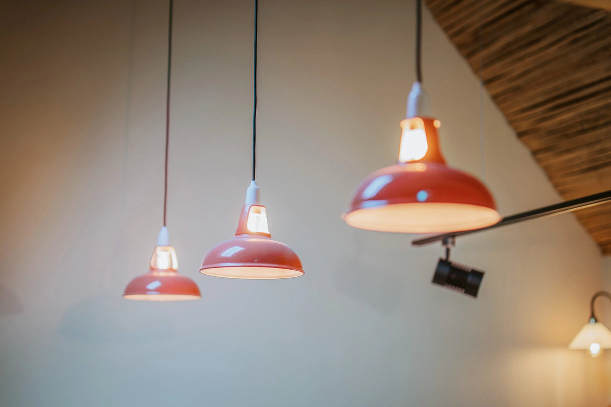 Angela Reed Café Saffron Walden, UK Commercial Lighting