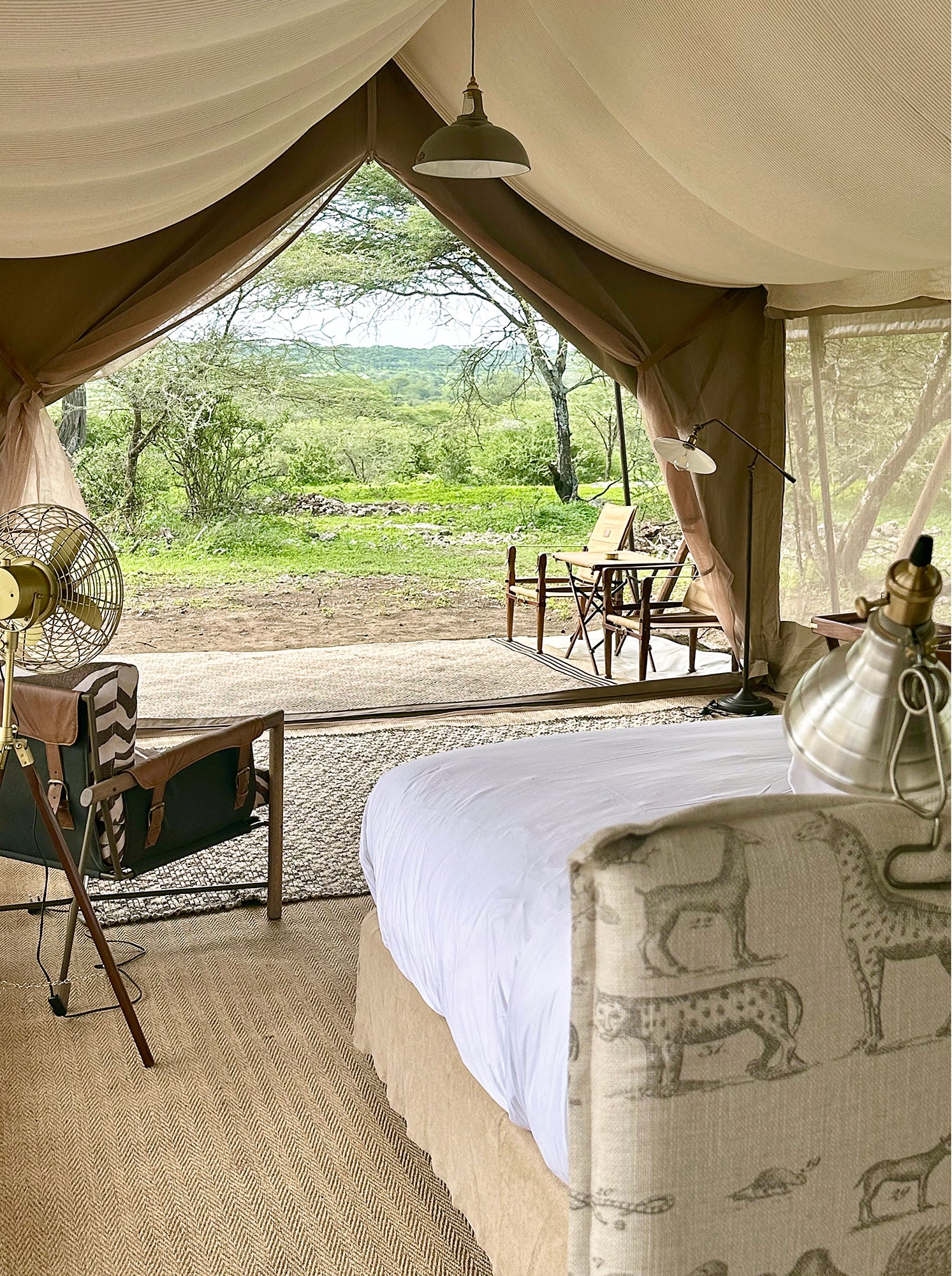 Coolicon-Lighting-Laba-Laba-6