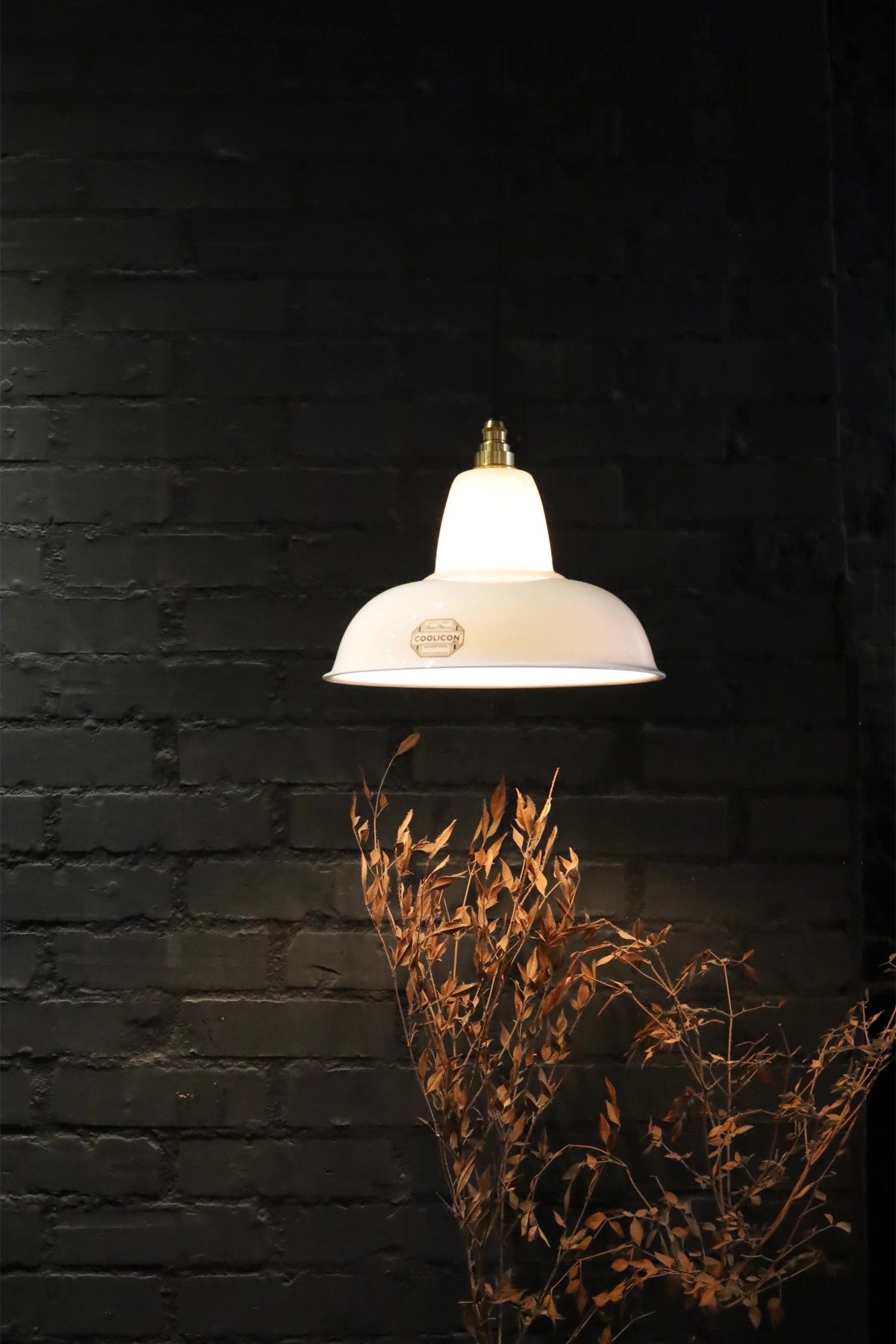 Coolicon-Lighting-Birdeye-Espresso-1