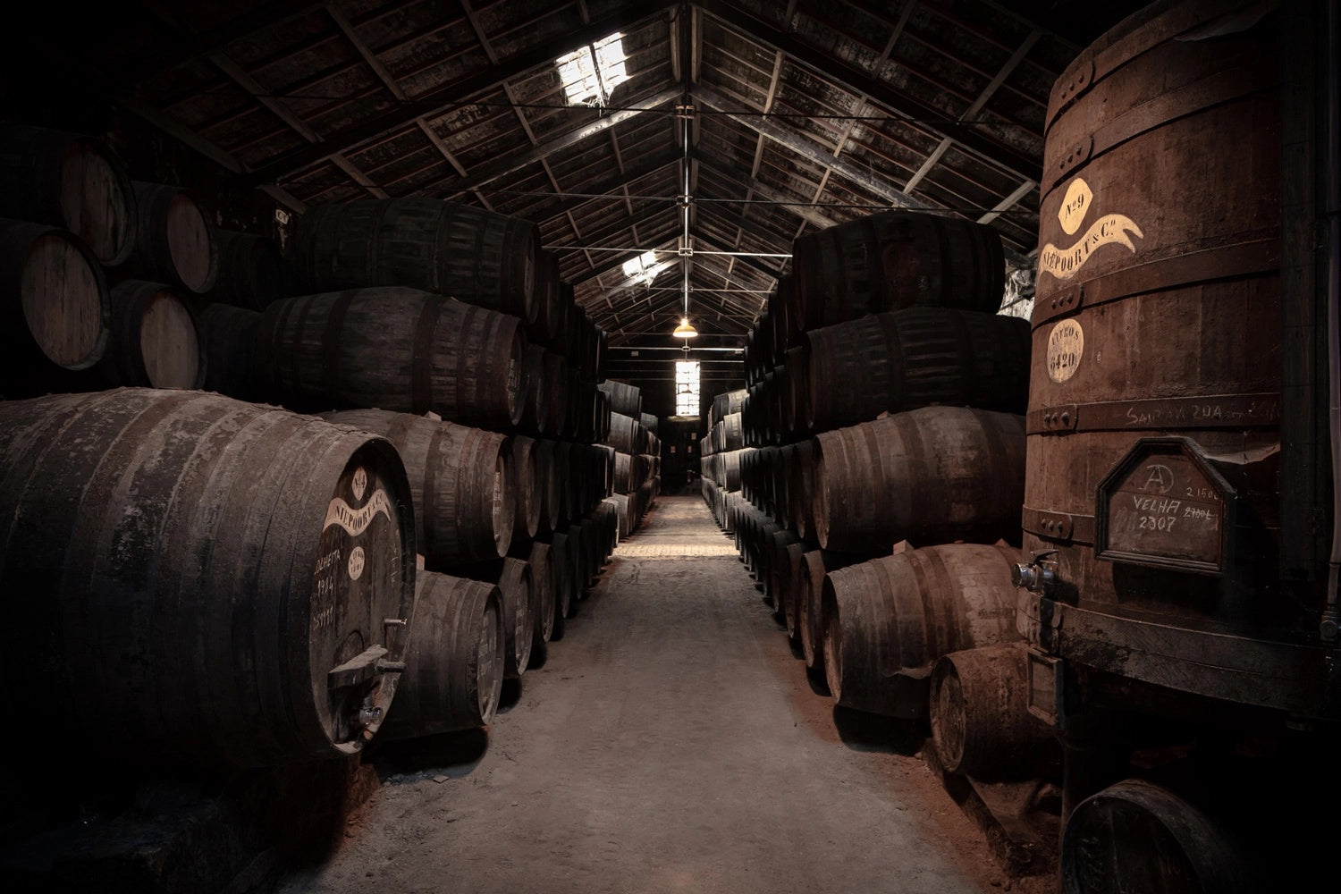 Coolicon-Lighting-Niepoort-Wine-4