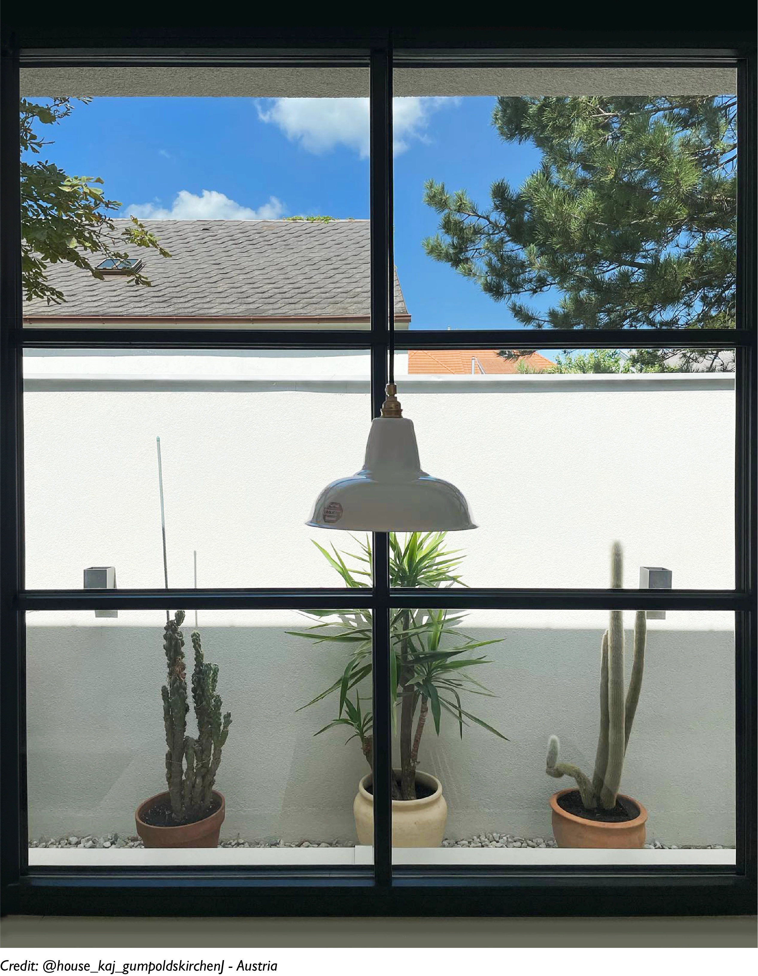 A Bone China lampshade hangs over a kitchen sink in front of the window