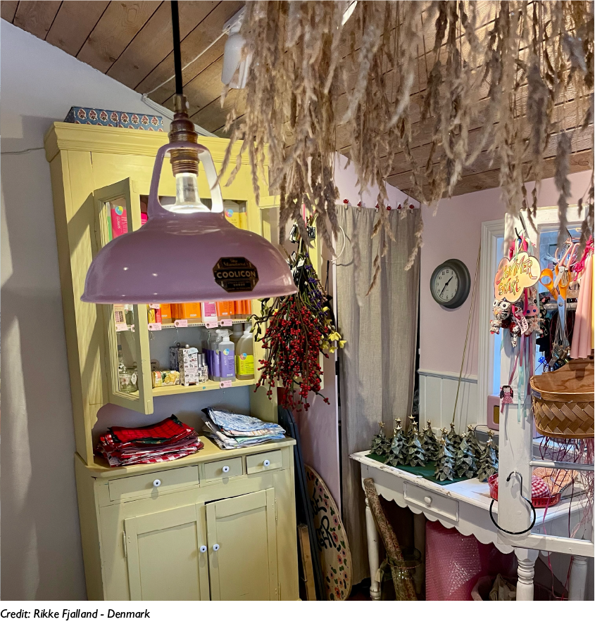 A Powder Pink lampshade hangs in a cozy room