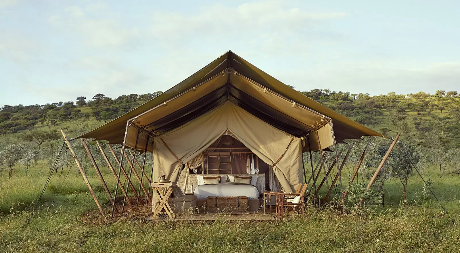 Coolicon-Lighting-Laba-Laba-4