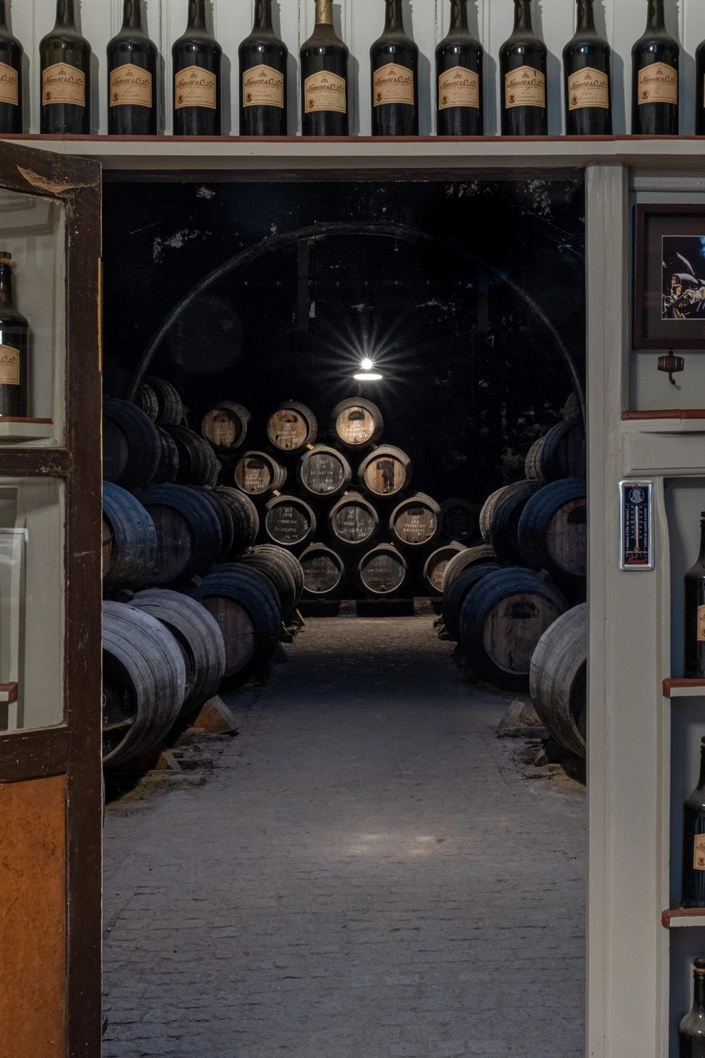 Coolicon-Lighting-Niepoort-Wine-8