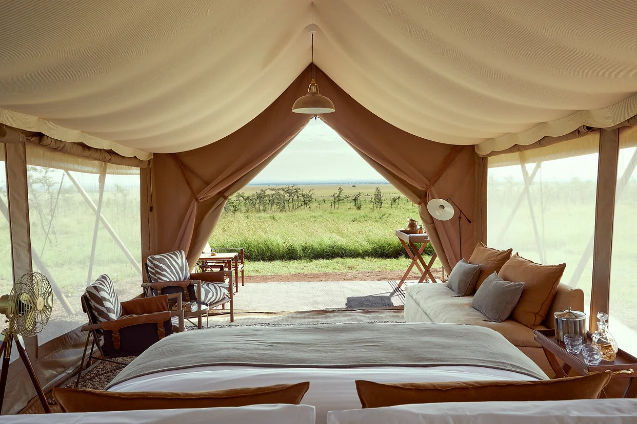 Coolicon-Lighting-Laba-Laba-2