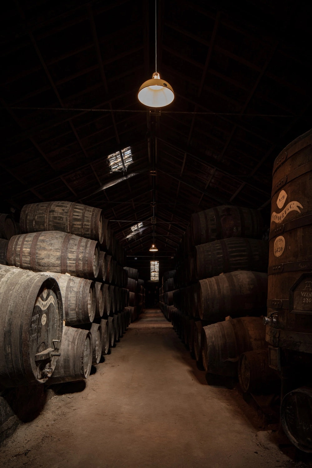 Coolicon-Lighting-Niepoort-Wine-6